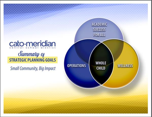 Strategic Plan Summary